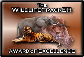 CM award